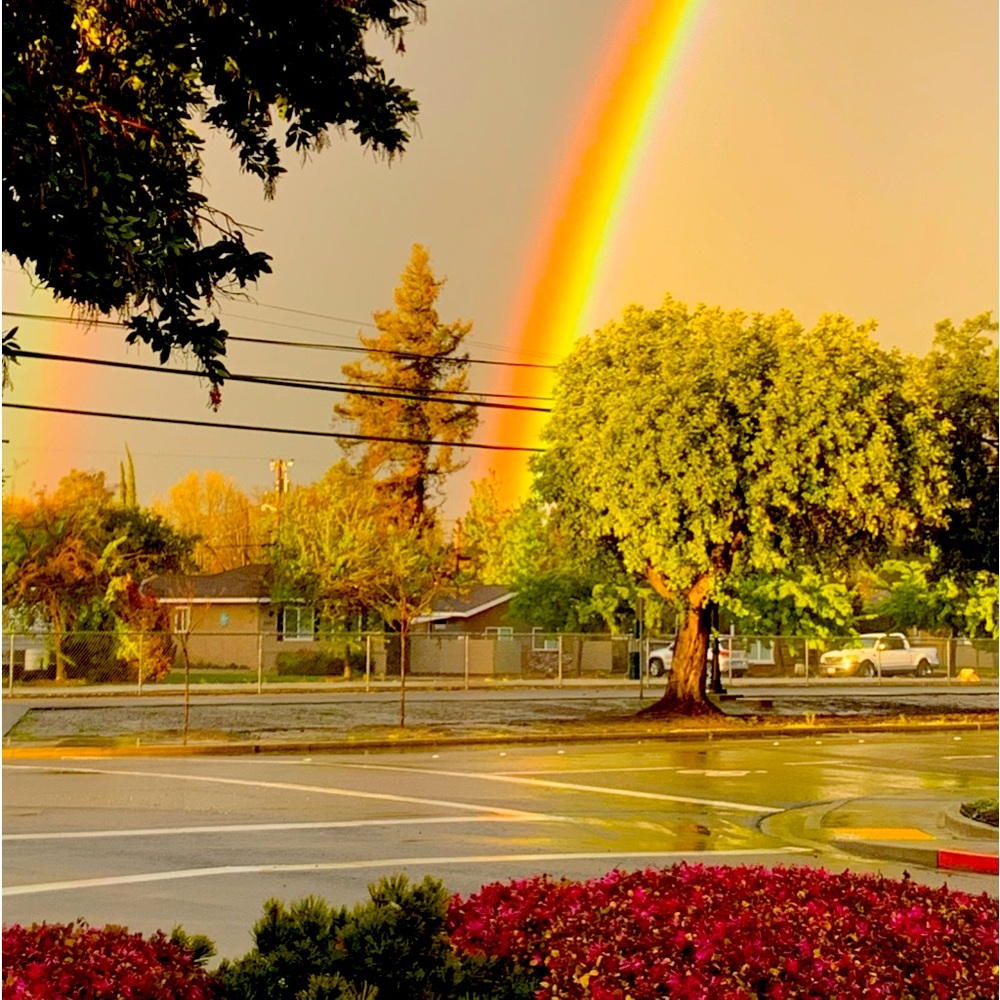 Thankful&Grateful for eternal promises, nature’s beauty& happy, generous Poshers